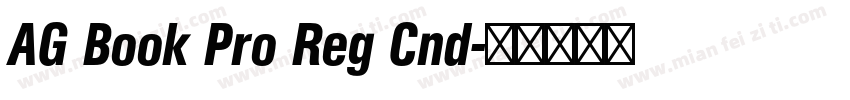 AG Book Pro Reg Cnd字体转换
